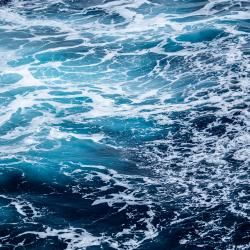 Artistic, archaeological and historical treasures at the Museum of the Sea